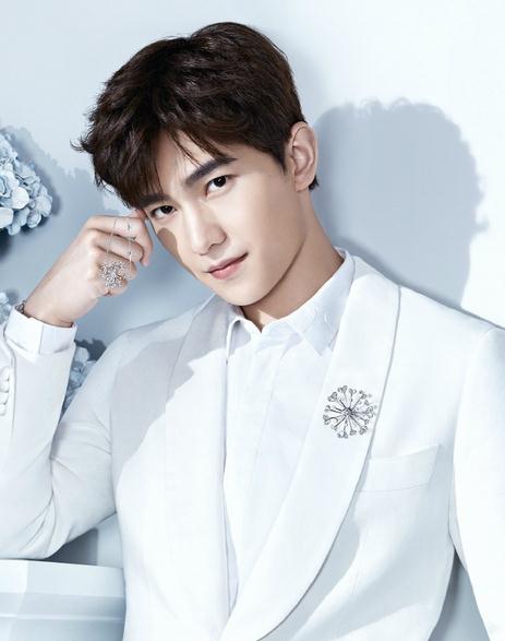 楊洋為國際鉑金協(xié)會代言 鉑金與楊洋相映成輝